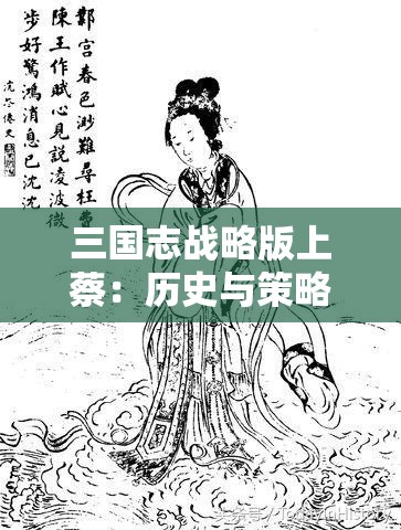 三国志战略版上蔡：历史与策略的完美结合