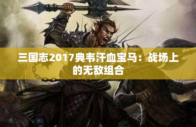 三国志2017典韦汗血宝马：战场上的无敌组合