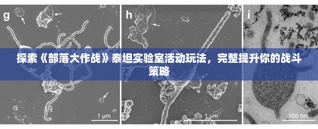 探索《部落大作战》泰坦实验室活动玩法，完整提升你的战斗策略