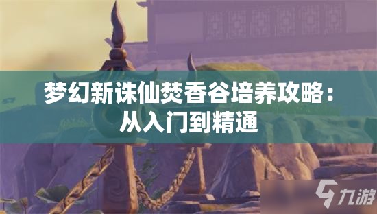 梦幻新诛仙焚香谷培养攻略：从入门到精通