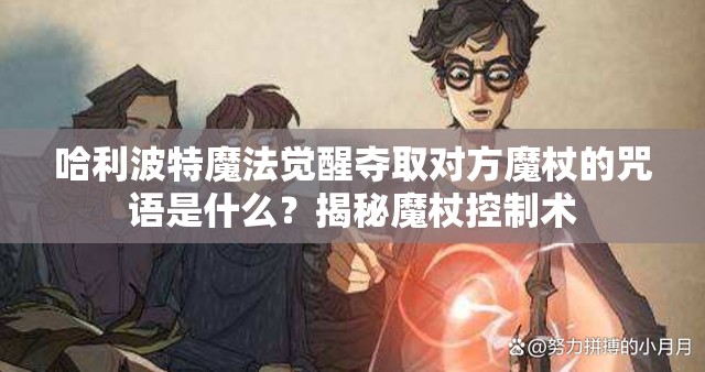 哈利波特魔法觉醒夺取对方魔杖的咒语是什么？揭秘魔杖控制术